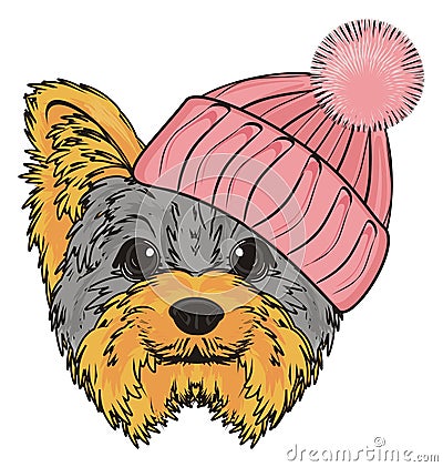 Head of yorkie Stock Photo