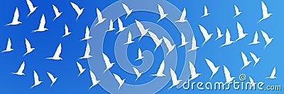 Header Background Flying Birds River Tern Stock Photo