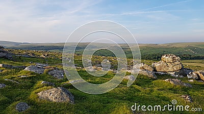 Heading down north from sheepstor. Dartmoor .Devon Stock Photo