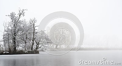 Headland with bare trees covered by hoar frost on a frozen lake on a cold foggy winter day, gray landscape with copy space Stock Photo