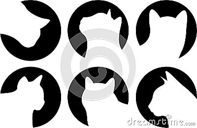 Heads of cats Stock Photo