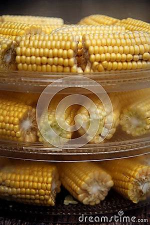 Heads of corn laid out for cooking in a double boiler. Corn broken into pieces in a steamer. Stock Photo