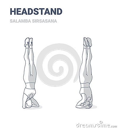 Headstand Exercise Young sporty woman doing, salamba sirsasana yoga pose guidance. Vector Illustration