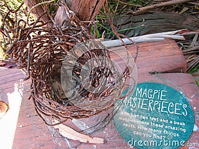 Close-up view of magpie`s nest made of steel wires Editorial Stock Photo