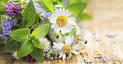 Healing Herbs Stock Photo