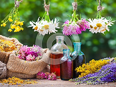 Healing herbs bunches, bottle of tincture, bags wih dried plants Stock Photo