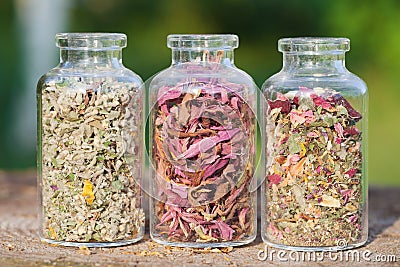 Healing herbs in glass bottles, herbal medicine Stock Photo