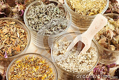 Healing herbs in glass cups, herbal medicine Stock Photo