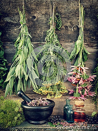 Healing herbs, herbal medicine Stock Photo
