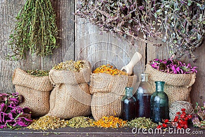 Healing herbs in hessian bags and bottles of essential oil Stock Photo