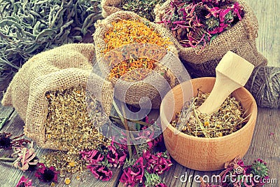 Healing herbs in hessian bags, mortar with chamomile Stock Photo