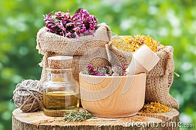 Healing herbs in hessian bags, wooden mortar with coneflowers Stock Photo