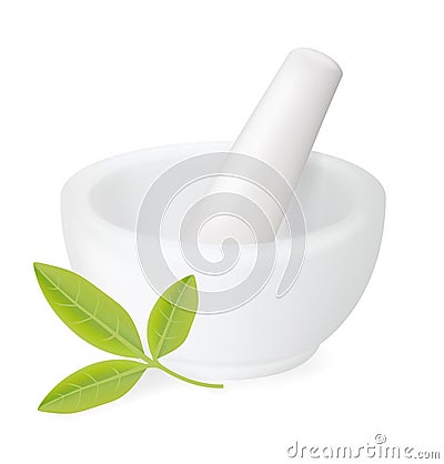 Healing herbs in white ceramic mortar Vector Illustration