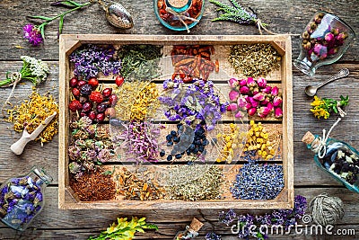 Healing herbs in wooden box, herbal medicine Stock Photo