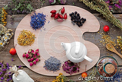 Healing herbs on wooden palette and tea kettle, top view. Stock Photo