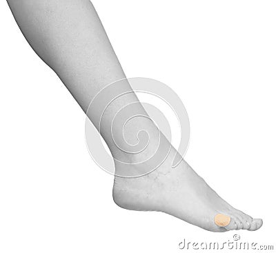 Healing plaster on leg finger. Stock Photo