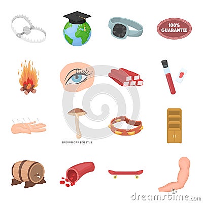 Health, beauty, food and other web icon in cartoon style.Hunting, entertainment, service icons in set collection. Vector Illustration