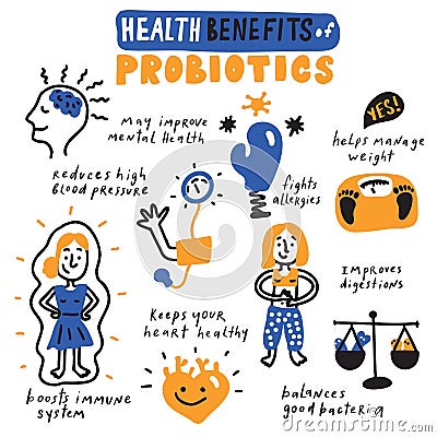 Health benefits of probiotics. Hand drawn infographic poster. Vector. Vector Illustration