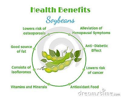 Health benefits of soybeans. Natural eco-friendly vegetarian nutrition. Flat style Vector Illustration