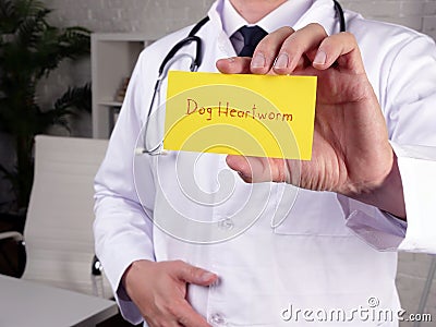 Health care concept about Dog Heartworm with inscription on the page Stock Photo