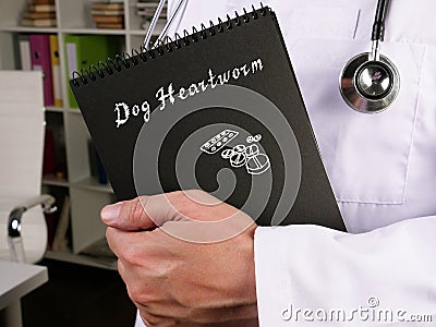 Health care concept about Dog Heartworm with sign on the piece of paper Stock Photo