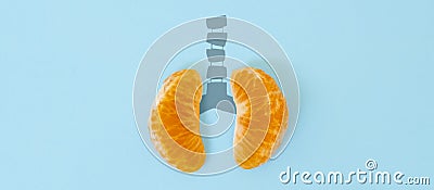 A health concept of unhealthy human lungs of a smoker with lung cancer in dark shadows, made of mandarin segments Stock Photo