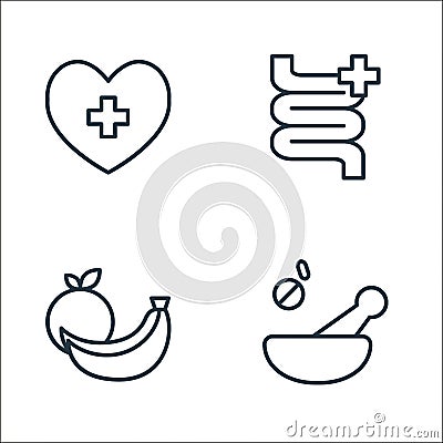 health line icons. linear set. quality vector line set such as ingient, fruit, intestines Vector Illustration