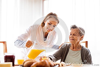 Health visitor and a senior woman during home visit. Stock Photo