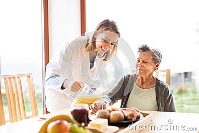 Health visitor and a senior woman during home visit. Stock Photo