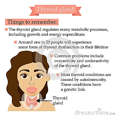 Healthcare banner with woman. Medical concept of thyroid gland. Vector Illustration