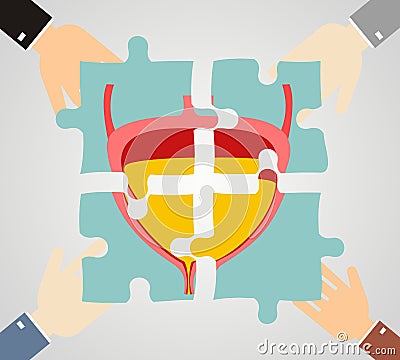 Healthcare concept. Hands hold pieces puzzle of bladder. Vector Illustration