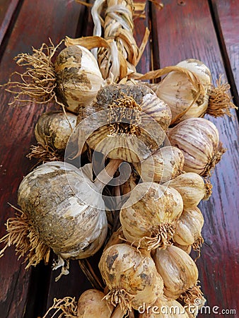 The healthiest food supplement garlic Stock Photo