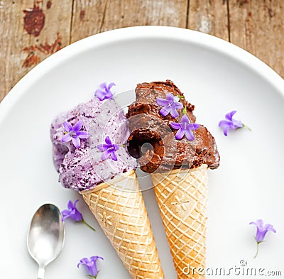 Healthy blueberry and cocoa vegan icecream Stock Photo