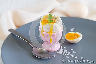 Healthy breakfast with organic boiled egg in eggcup with parsley and pink salt Stock Photo