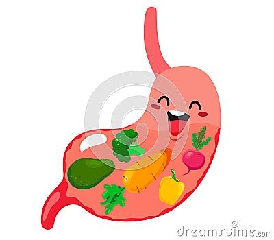 A healthy and contented stomach filled with fresh vegetables. Vector illustration in cartoon flat style on white background Vector Illustration