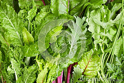 Dark leafy salad greens Stock Photo