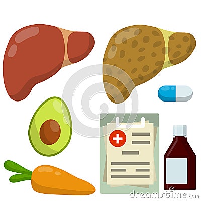Healthy and diseased liver. Causes of illness the internal organ Vector Illustration