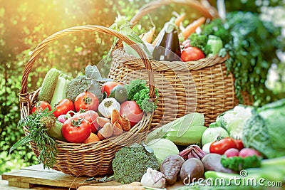 Healthy eating, healthy food, fresh vegetarian food on table Stock Photo