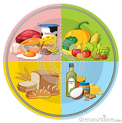 Healthy Eating Plate with Portion of Fruits, Grains, Protein, Vegetables, Fat, and Water Vector Illustration