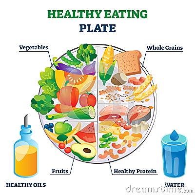 Healthy eating plate vector illustration. Labeled educational food example. Vector Illustration