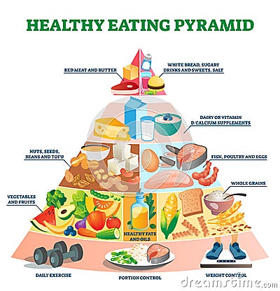 Healthy eating pyramid vector illustration. Labeled explanation food triangle Vector Illustration