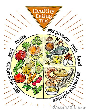 Healthy eating tips plate, proper nutrition proportions Vector Illustration