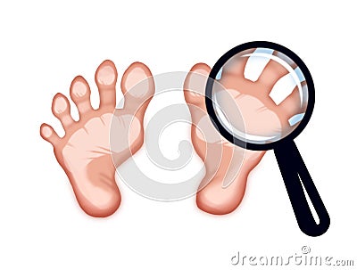 Healthy female feet Stock Photo