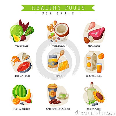 Healthy Food for Brain, Vegetables, Nuts and Seeds, Fish, Seafood, Honey, Organic Juice, Fruits, Berries, Caffeine Vector Illustration