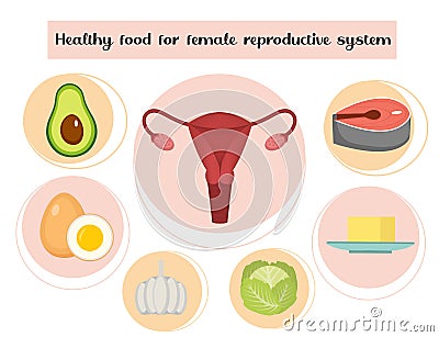 Healthy food for female reproductive system infographics. Prevention of diseases of the uterus and ovaries, hormonal Vector Illustration