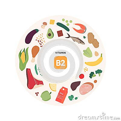 Healthy food guide concept. Vector flat illustration. Infographic of b2 vitamin sources. Colorful meat, poultry, seafood, mushroom Vector Illustration