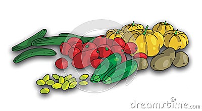 Healthy food 2 Cartoon Illustration