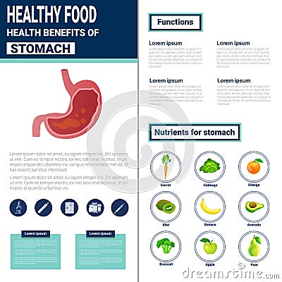 Healthy Food Infographics Products With Vitamins And Minerals, Health Nutrition Lifestyle Concept Vector Illustration