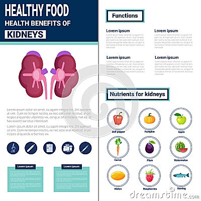 Healthy Food Infographics Products With Vitamins And Minerals, Health Nutrition Lifestyle Concept Vector Illustration