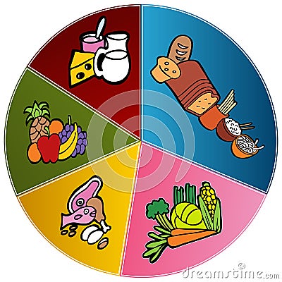 Healthy Food Plate Chart Vector Illustration